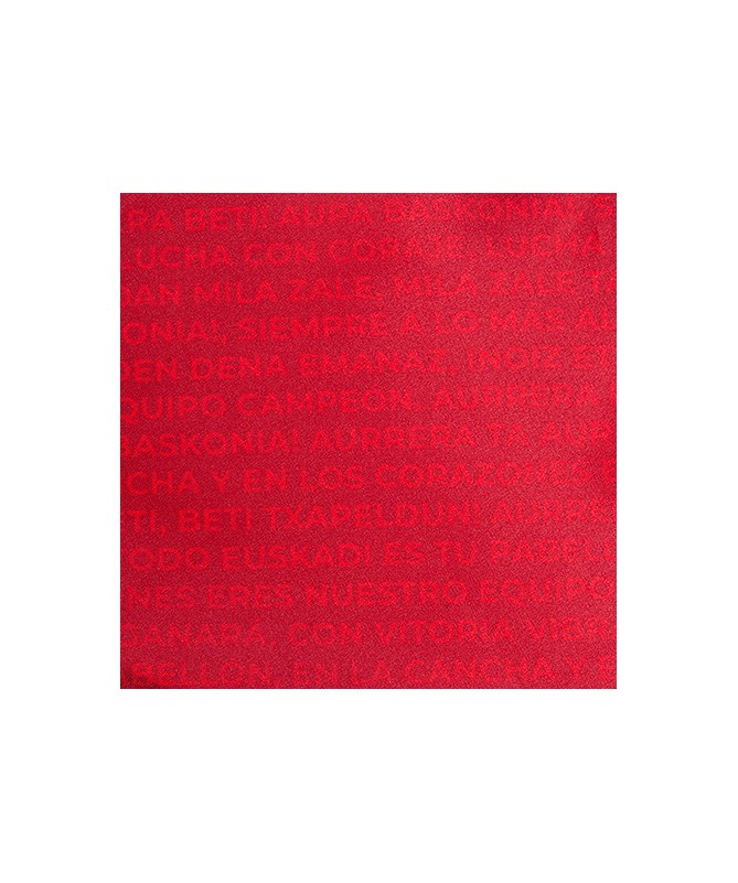 Bandera Baskonia Premium 100X150