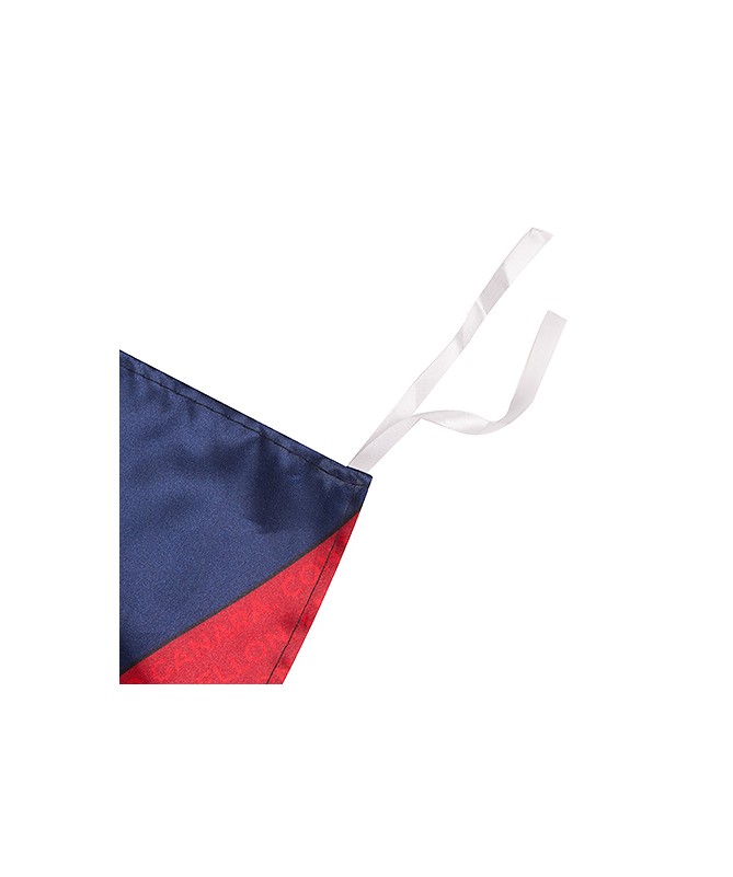 Bandera Baskonia Premium 100X150