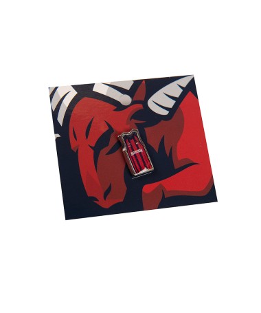 Pin Baskonia Camiseta Azulgrana