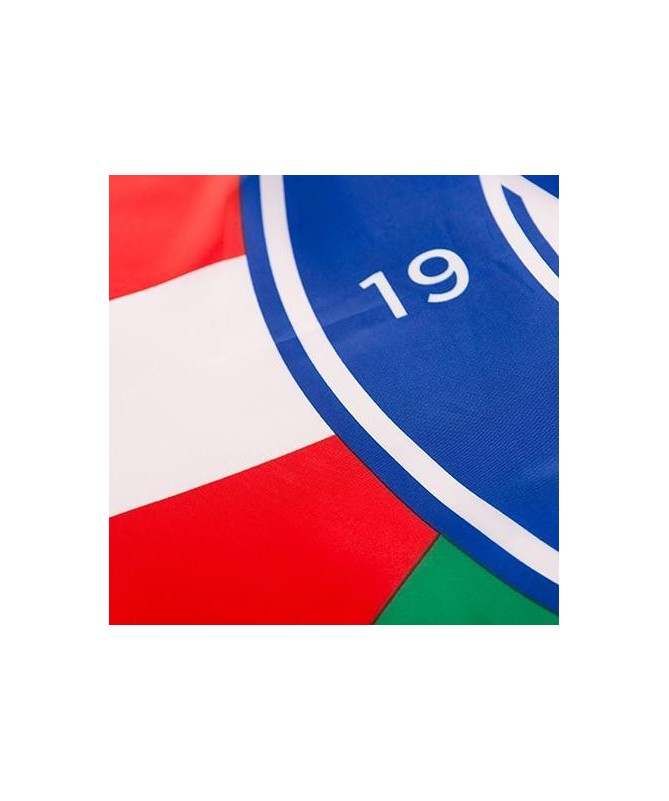 Bandera Ikurriña Escudo (135X90)