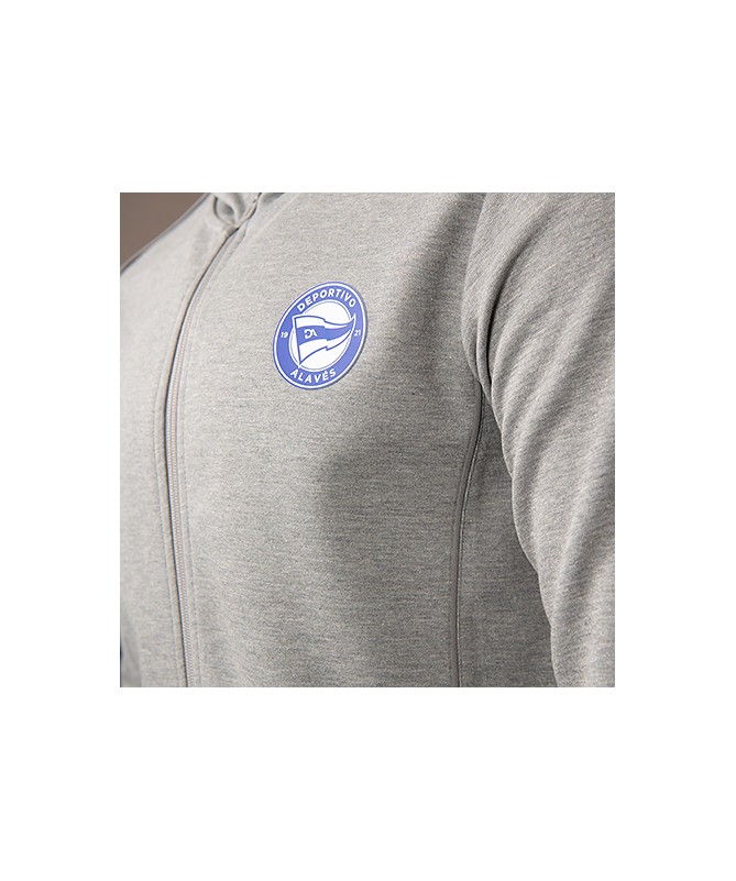 Sudadera Hoodie Paseo Deportivo Alavés 24/25