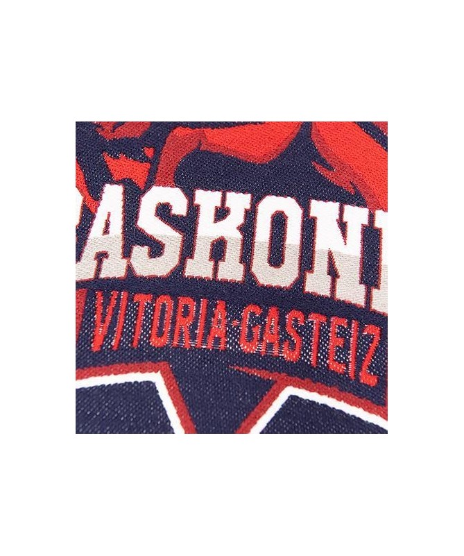 Cojín Baskonia